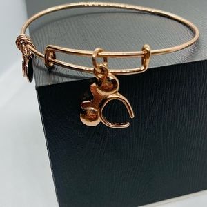 AUTHENTIC DISNEY PARKS MERCH — Minnie Ears Alex & Ani Bracelet